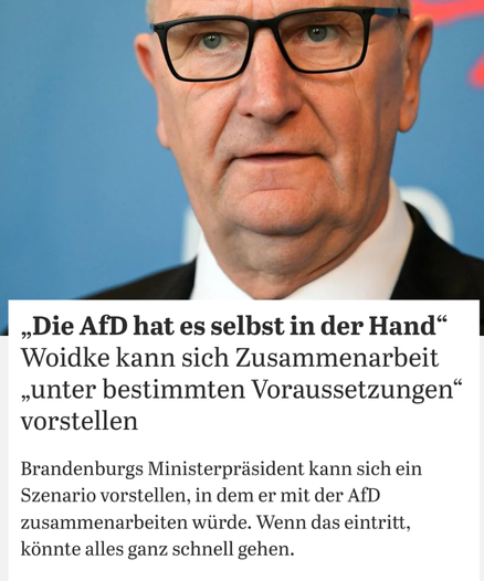 Foto von Dietmar Woidke

„Die AfD hat es selbst in der Hand“: Woidke kann sich Zusammenarbeit „unter bestimmten Voraussetzungen“ vorstellen

Brandenburgs Ministerpräsident kann sich ein Szenario vorstellen, in dem er mit der AfD zusammenarbeiten würde. Wenn das eintritt, könnte alles ganz schnell gehen.